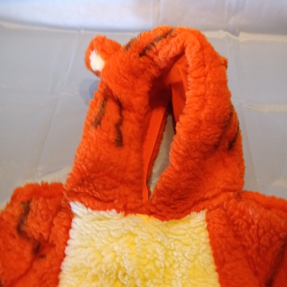 Costume - Picture 6 of 13